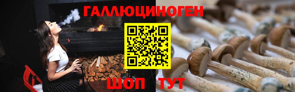 Галлюциногенные грибы GOLDEN TEACHER  Вход с VPN  Галлюциногенные грибы Psilocybe  Котлас 
